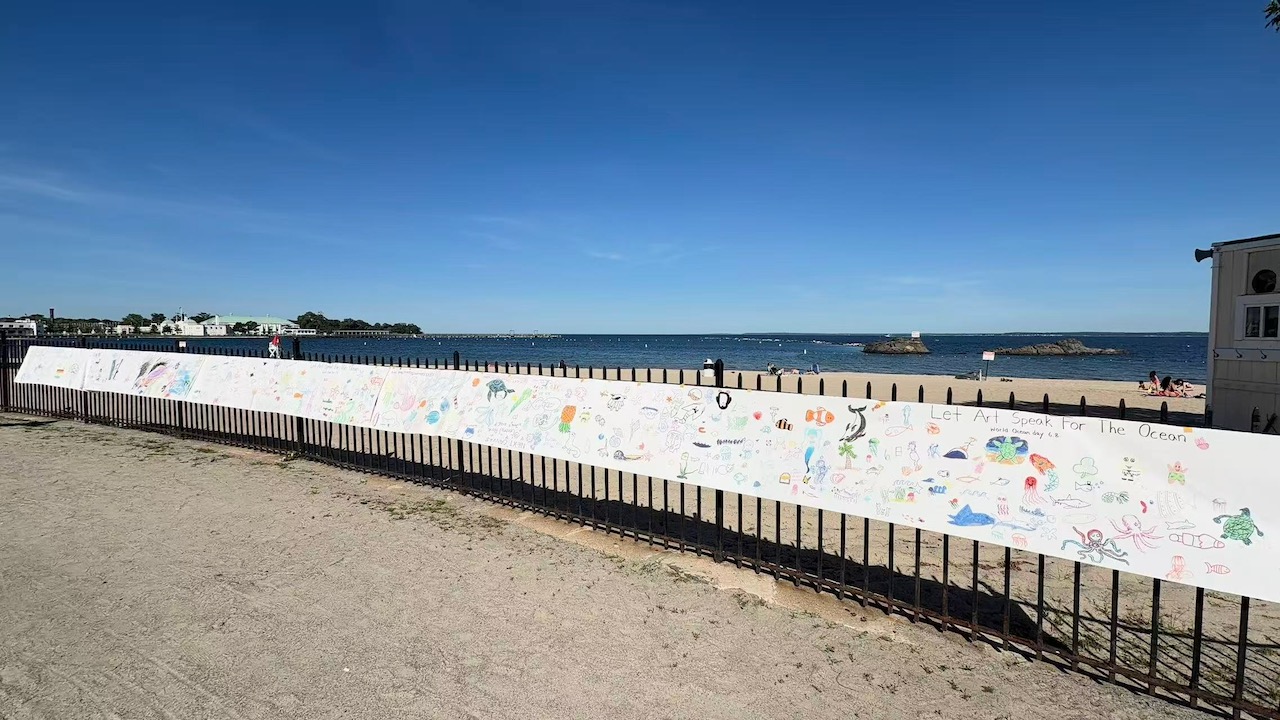 A long scroll of ocean-themed drawings displayed along the waterfront fence at Rye Beach.